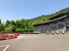 -都江堰中华大熊猫苑