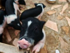 -HERRE·FARM 赫尔露营农场·团建聚会包场