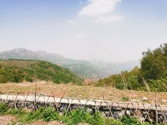 -灵山