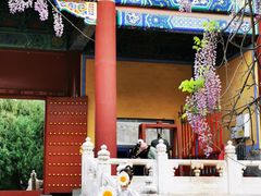 -北京国子监胡同