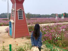 -日照灯塔风景区