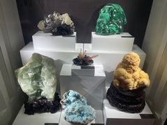-重庆自然博物馆(新馆)