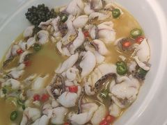 -青花椒花椒鱼(合生汇店)