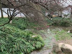 -方林富炒货店(西溪路78号本人店)