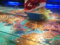 -驻海渔市(置信店)