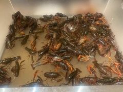 -新希望诺富特酒店-青岛湾中餐厅
