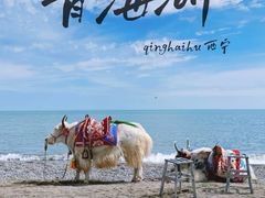 -青海湖国家重点风景名胜区