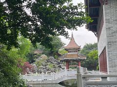-顺峰山公园