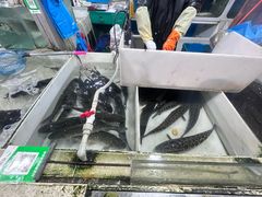 -新农都水产市场