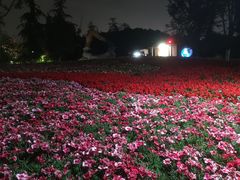 -金水泊山庄·花椒鸡(铁山坪店)