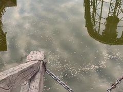 -东部华侨城
