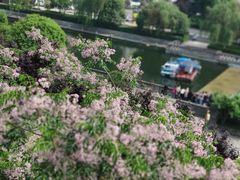 -西安城墙·碑林历史文化景区