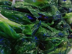 白灼罗马生菜-老板恋上鱼(恒隆广场店)