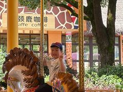 -杭州野生动物世界