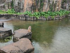 -海南热带野生动植物园