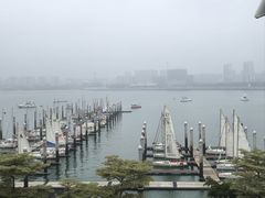 -五缘湾游艇帆船俱乐部