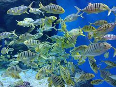 -成都浩海立方海洋公园