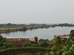 -芒洲湿地公园