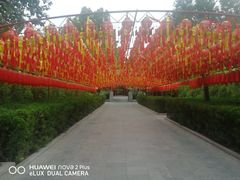 -大槐树寻根祭祖园