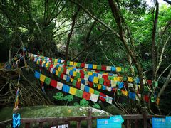-七仙岭温泉国家森林公园