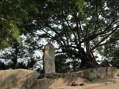 -鹅岭公园瞰胜楼