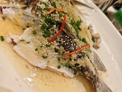 -新世纪大酒楼·30年南海菜