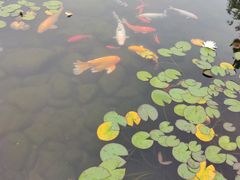 -白马涧龙池景区