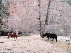 -硗碛藏寨·神木垒景区