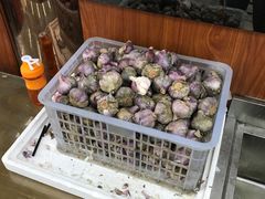 -回坊马二饺子馆
