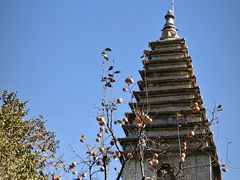 -北京石刻艺术博物馆(五塔寺)