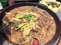 -老板恋上鱼(印象城店)