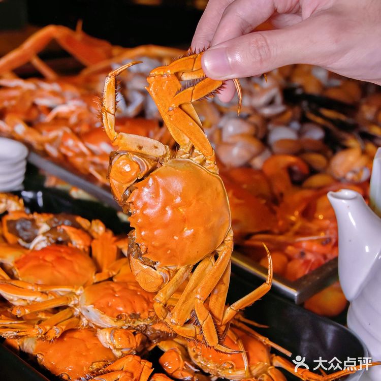 🌟 魔都探店｜55000㎡花园酒店蟹宴自助来啦！
