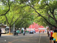 -北京国子监胡同