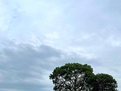 -良渚古城遗址公园