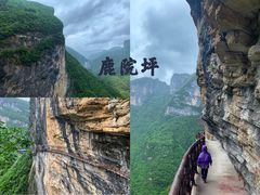 -鹿院坪生态旅游景区