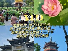 -大虎老火锅(直港大道店)