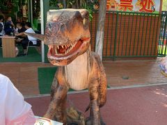 -水上乐园·欢乐世界