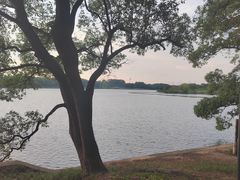 -东湖落雁景区