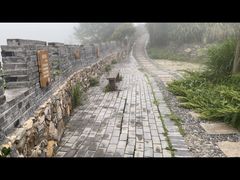 -东沙渔村