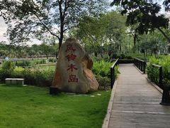 -映月湖公园