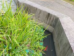 -苏州河梦清园环保主题公园