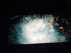 -哈尔滨电影院