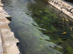 -京北渔家傲