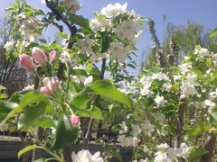 -元大都城垣遗址公园