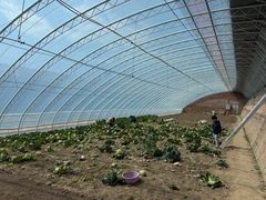 -圣露庄园·露营·烤肉·亲子