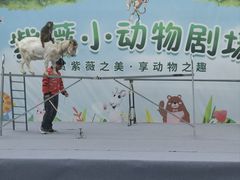 -武汉紫薇都市田园