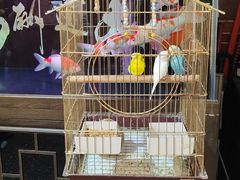 -小城外婆肴私房菜.家宴聚集点(圆明园颐和园·清河上地店)