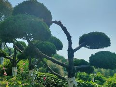 -烟台山景区