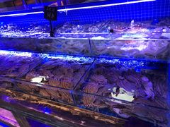 -渔民船说·北塘海鲜·天津菜·海肠捞饭(北塘古镇店)