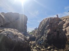 -养马岛旅游度假区